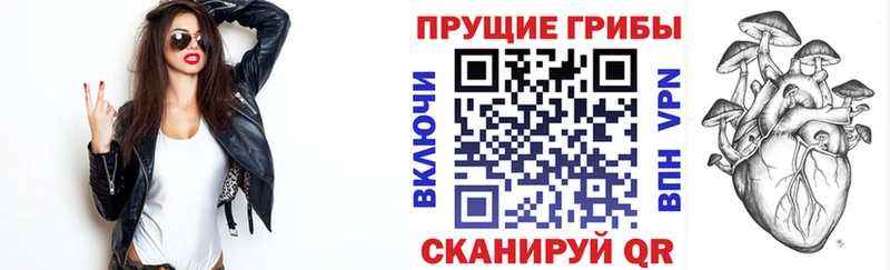 Галлюциногенные грибы мицелий  Макарьев 