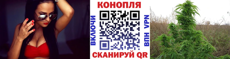 Шишки марихуана THC 21%  продажа наркотиков  Макарьев 